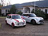 Looking for my first Mini-p1010046.jpg