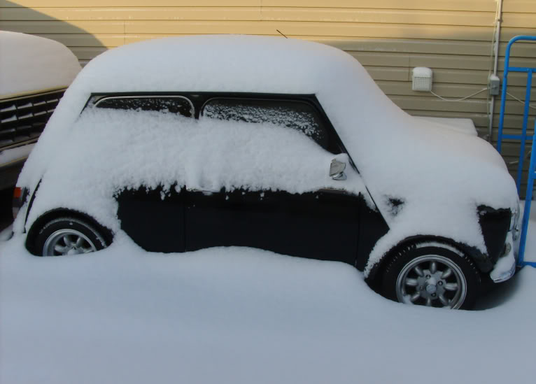 Name:  HPIM2281.jpg
Views: 12
Size:  47.8 KB