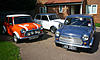 Exporting Minis Home-minis1.jpg