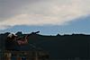 Free Classic Mini...-shooting.jpg