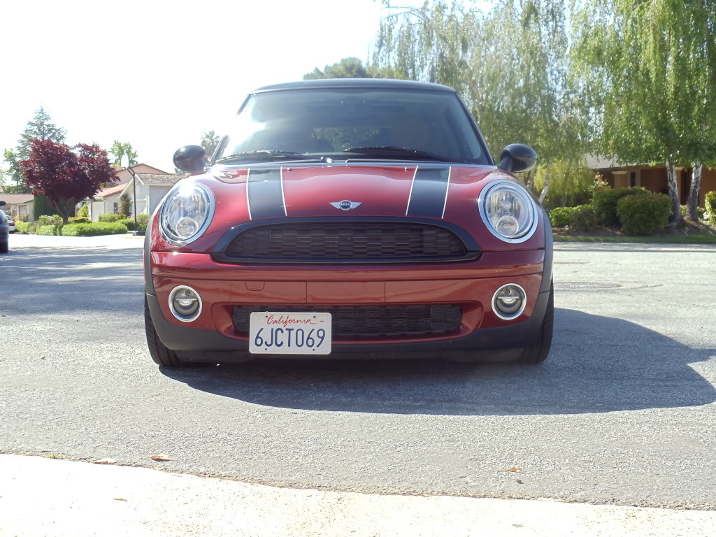 Name:  DSC00260.jpg
Views: 825
Size:  194.5 KB