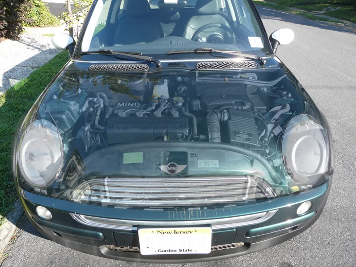 Name:  miniunderhood.jpg
Views: 2033
Size:  105.8 KB