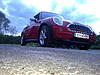 New Bee-21052010249.jpg