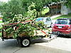 Omaha Storm-dscf3584.jpg