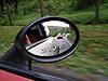 MTTS - Charlottesville to DC via Skyline Drive-skyline-2.jpg