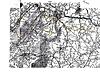 [Sat, April 28 8:30 AM] Front Royal – Edinburg Run-route-map.jpg