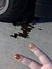 Yikes!  What is it?-photo.jpg