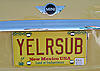 What are your personalized plates?-yelrsub.jpg