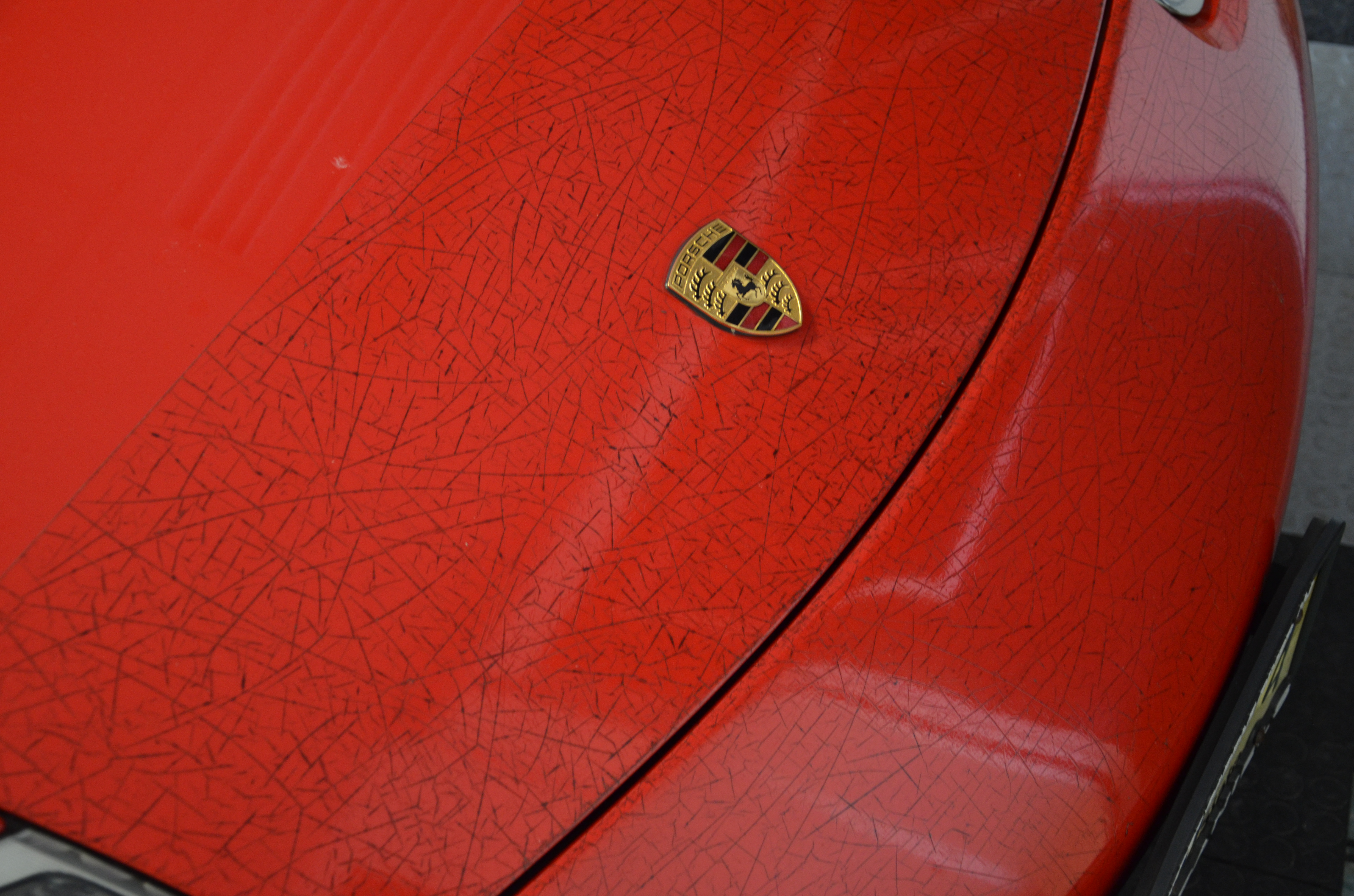 Name:  DSC_4907_zpsb4cab7b9.jpg
Views: 15
Size:  7.38 MB