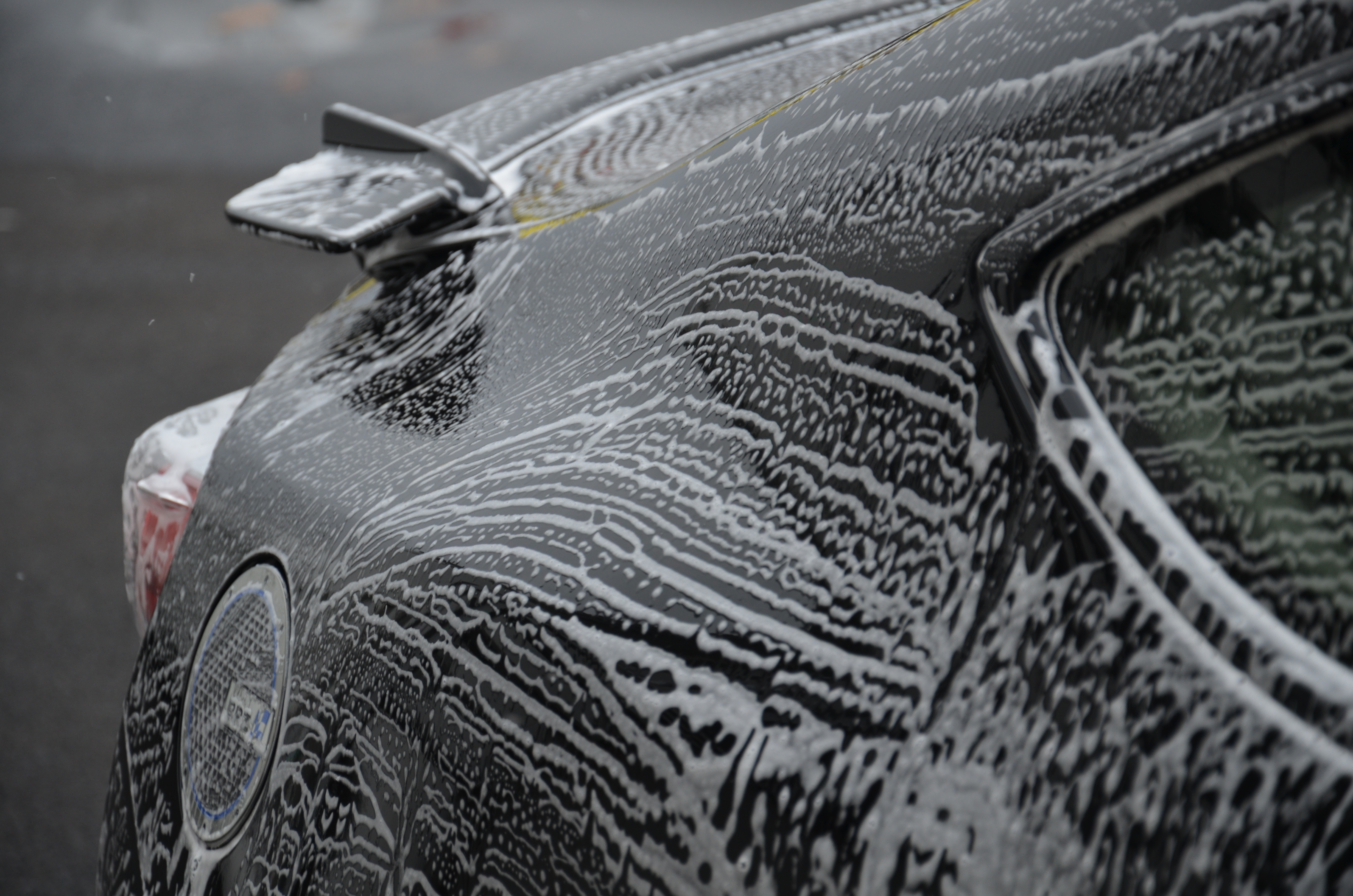 Name: DSC_1473-1.jpg
Views: 33
Size: 6.09 MB