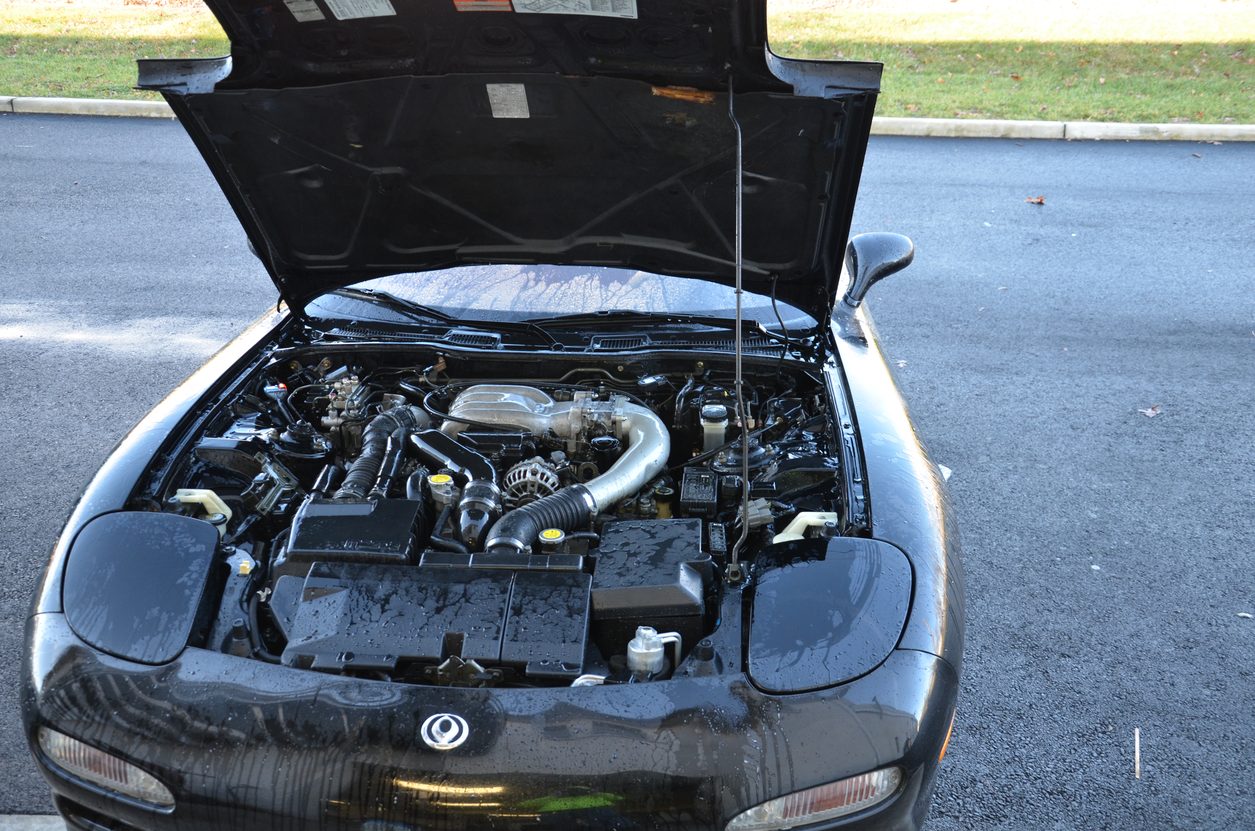 Name: DSC_0652-1.jpg
Views: 75
Size: 8.39 MB