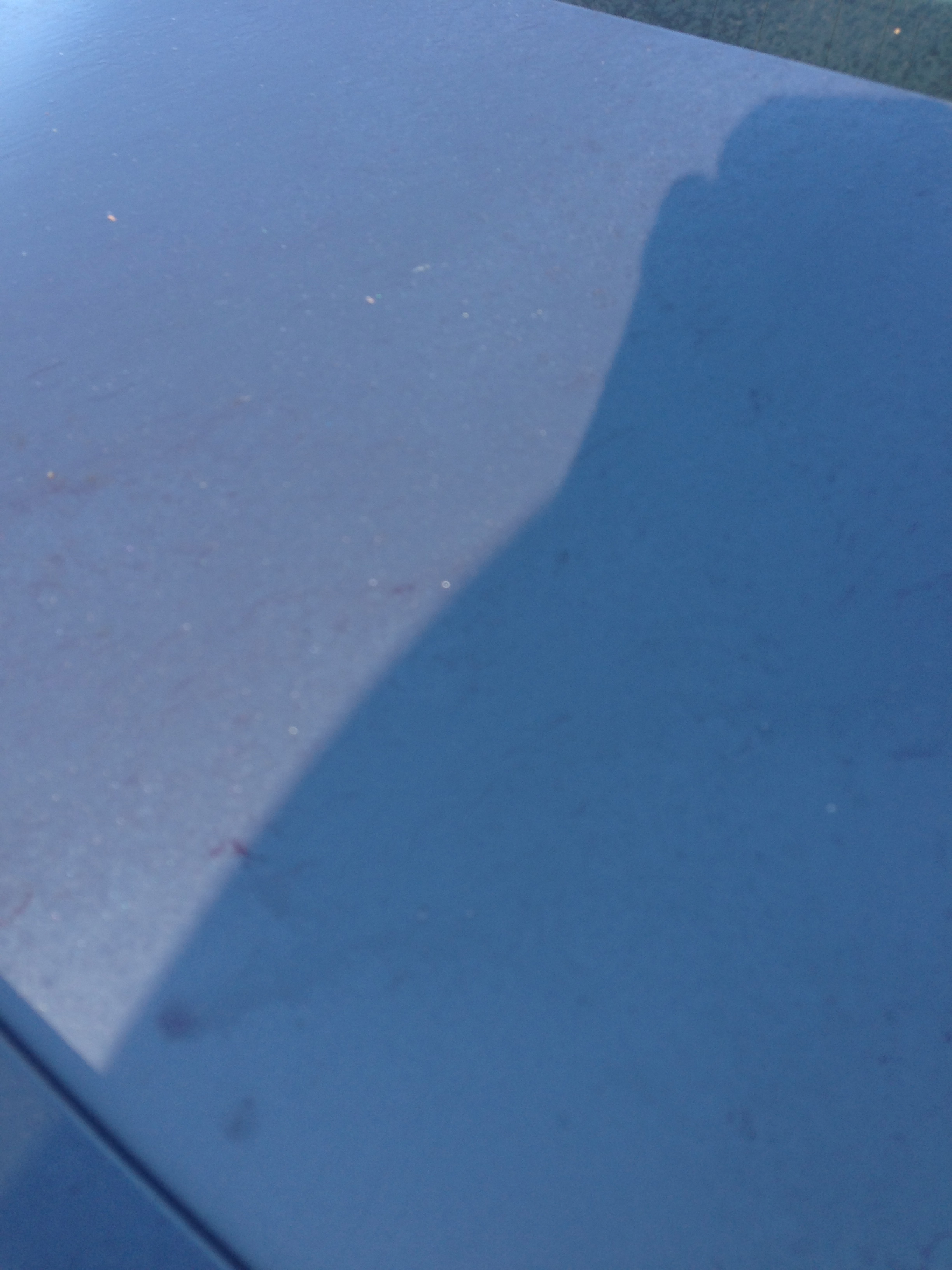 Name:  IMG_1735.jpg
Views: 79
Size:  1.47 MB