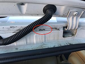 how bad is this paint damage?-img_4951.jpg