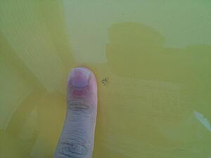 Touch-up advice-bwuetnl.jpg