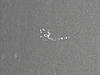 Something Weird on Car-mark.jpg
