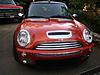 Must be summer, busy here-mini-detail-front.jpg