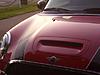 Paint mangled-n732607272_986295_3596.jpg