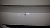 Fuming...  Scratched rear bumper - best way to fix-20130527_200650.jpg