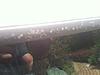Trim Mold?-img_1993.jpg