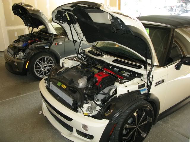 Name:  IMG_2608.jpg
Views: 7611
Size:  60.8 KB