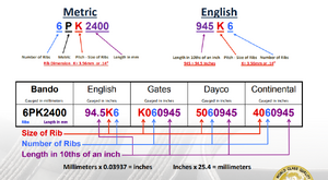 Losin it  .. Need belt size help !-ufneigk.png