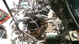 My build. Teaser photos and updates-lweoo9j.jpg