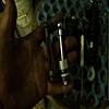HELP!! Damaged my transmission-size-pushrod.jpg