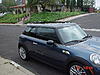 Shark Fin Anyone?-dsc01458.jpg