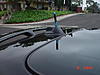 Shark Fin Anyone?-dsc01461.jpg