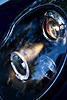 Halo lights-mini-03.jpg
