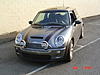 Help!  I Need More Light!-dsc04929.jpg