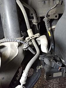 What is this thing?-finger-2.jpg