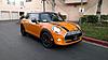F56 Picture Thread-10931450_10204824744450289_6523566690553463331_n.jpg