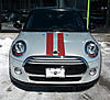 Side stripes question-20150306_112802fg.jpg