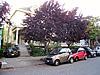 Att. BMW, Small Size Matters-img_2395.jpg
