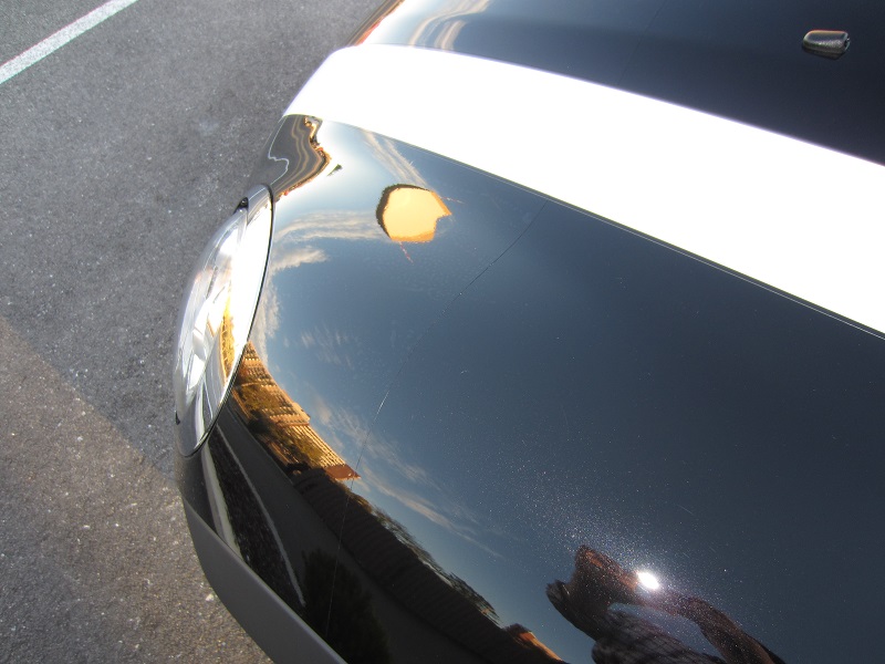 Name:  IMG_3244_zps4bee550c.jpg
Views: 175
Size:  130.7 KB