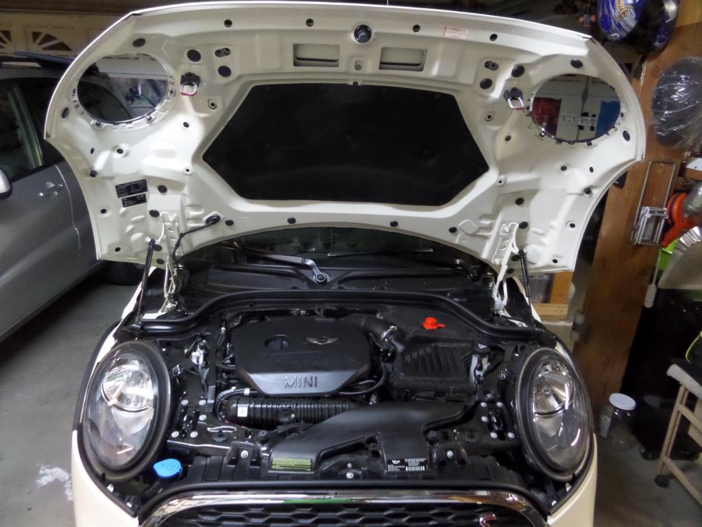 Name: MiniHood1_zps7e736117.jpg
Views: 108
Size: 101.2 KB