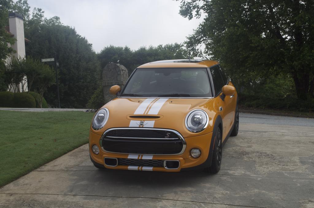 Name:  minifront_zpsefb4248c.jpg
Views: 794
Size:  89.5 KB