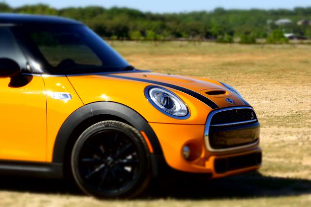 Name:  _DSC9984_zps1dbf5f2a.jpg
Views: 2481
Size:  31.8 KB