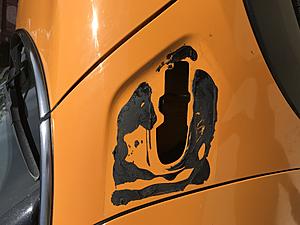 Weird Black Goo-img_0852.jpg