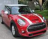 Opinion of stripes-img_3679.jpg