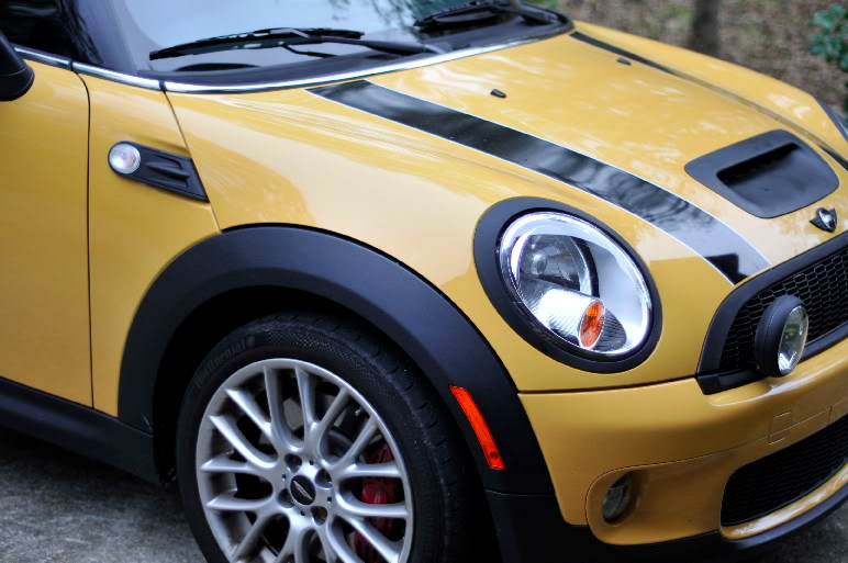 Name:  _MMG1675.jpg
Views: 148
Size:  71.0 KB