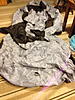 R-53 Cover fitted for sale-img_2197.jpg