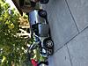 What did you do to your mini today?-img_3408.jpg