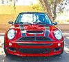 What did you do to your mini today?-image.jpeg