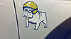 Mini Cooper Bulldog Promo Sticker Decal-2013-10-28-09.32.25.jpg