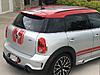 What did you do to your mini today?-lucy-stripes-6-8-17-rear-top.jpg