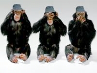 Name: 3monkeyswithgreenhats.jpg
Views: 91
Size: 20.5 KB