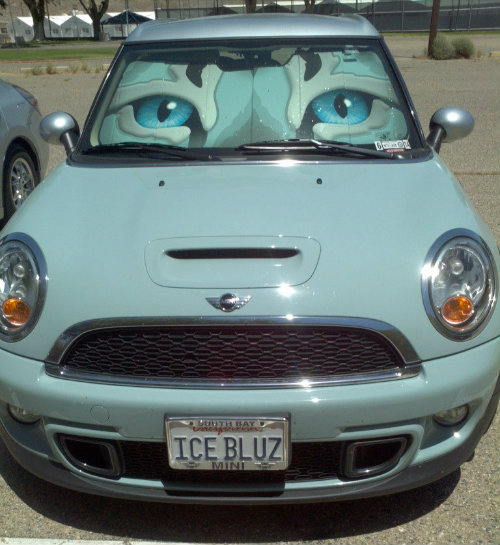 Name:  IceBluz3.jpg
Views: 3403
Size:  69.2 KB
