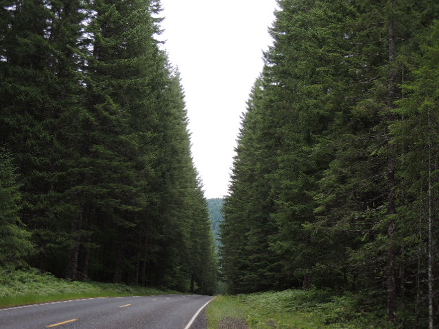 Name:  DSCN0002.jpg
Views: 92
Size:  102.9 KB